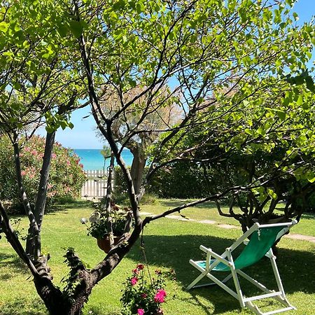 B&B I Versi Del Mare Roseto Degli Abruzzi Exteriör bild